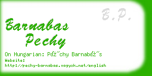 barnabas pechy business card